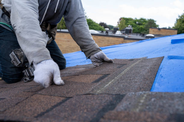 Best Storm Damage Roof Repair  in Savoy, IL