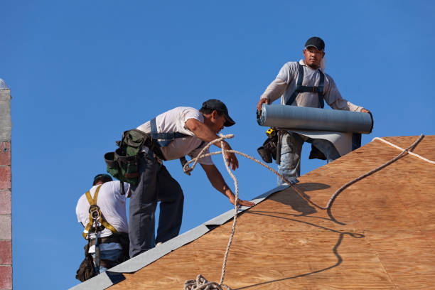 Best Residential Roofing Contractor  in Savoy, IL