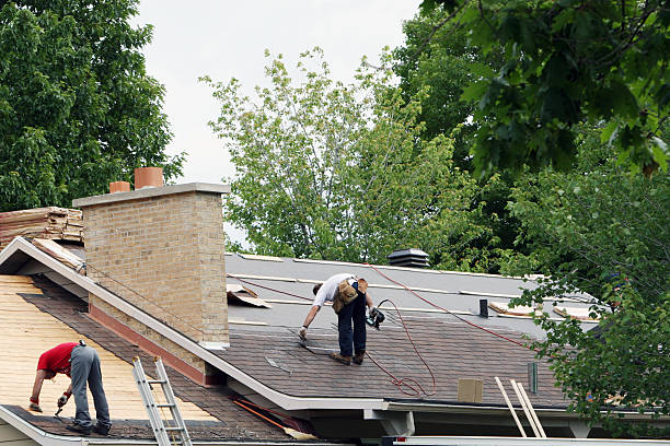 Best Residential Roofing Contractor  in Savoy, IL