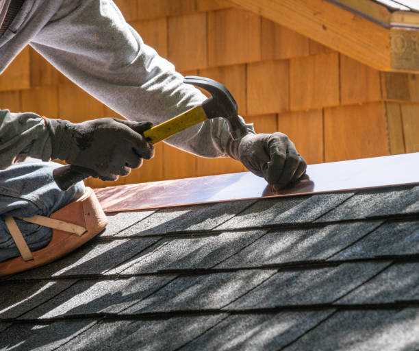 Best Flat Roof Repair Services  in Savoy, IL